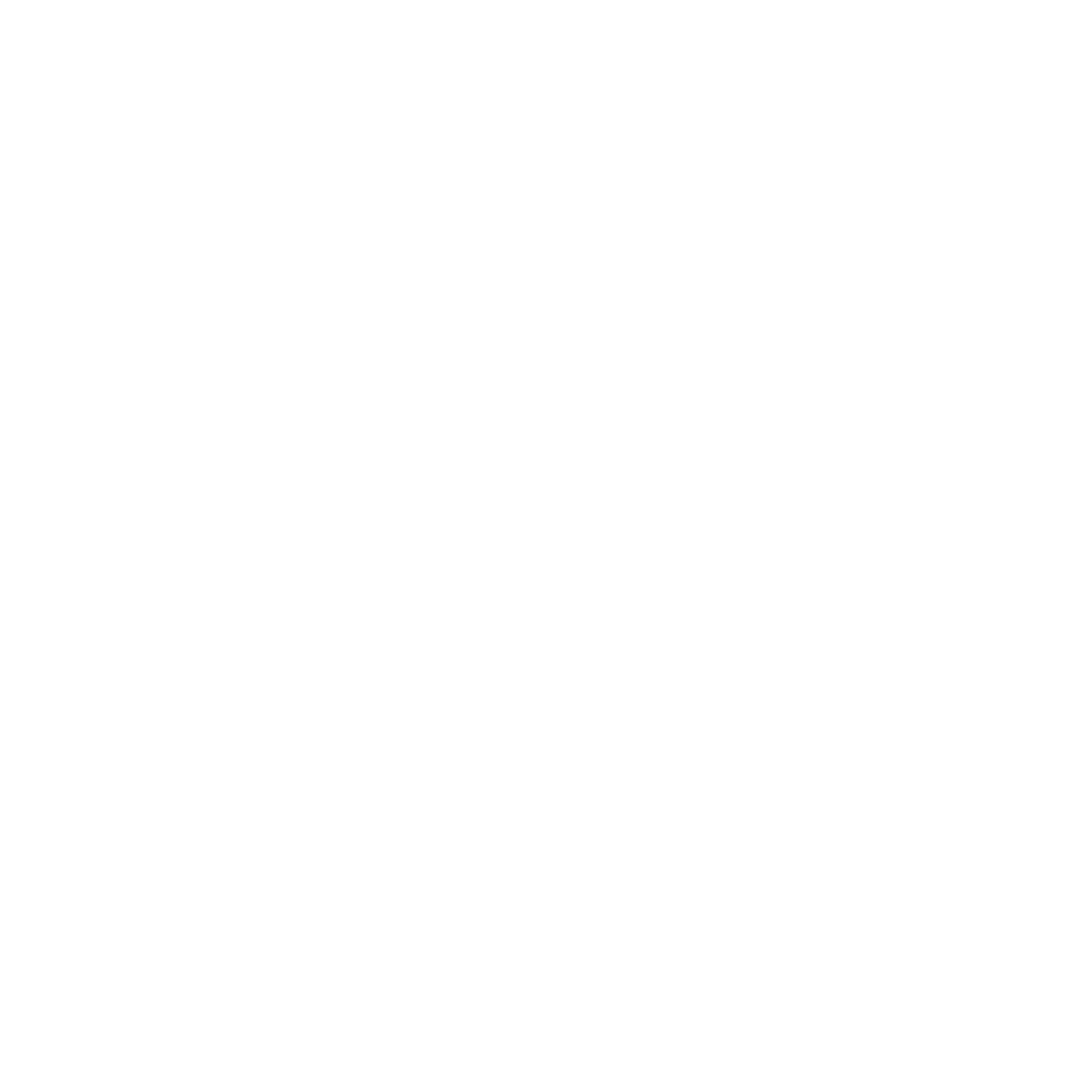 FIERY ANGEL LOGO white